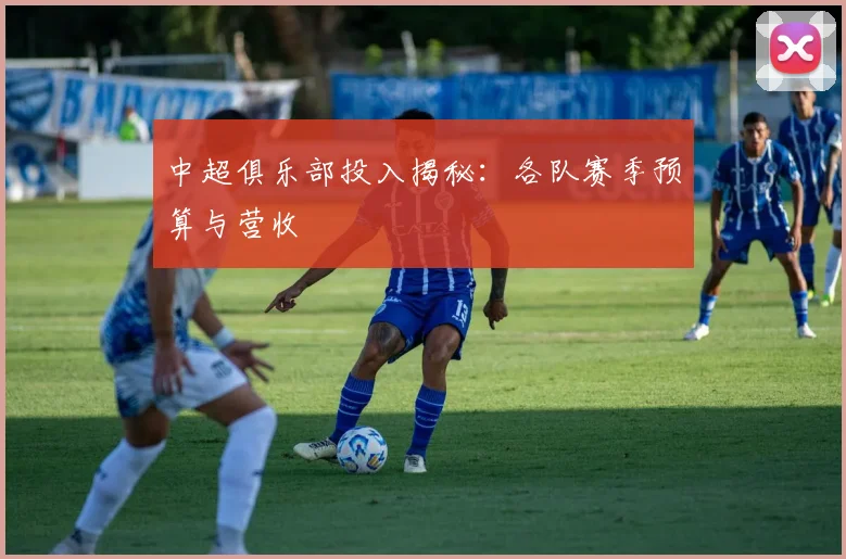 中超俱乐部投入揭秘：各队赛季预算与营收